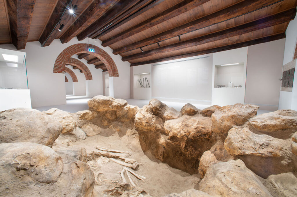 immagine per La difesa della bellezza. Veneto. Museo Archeologico Nazionale di Verona