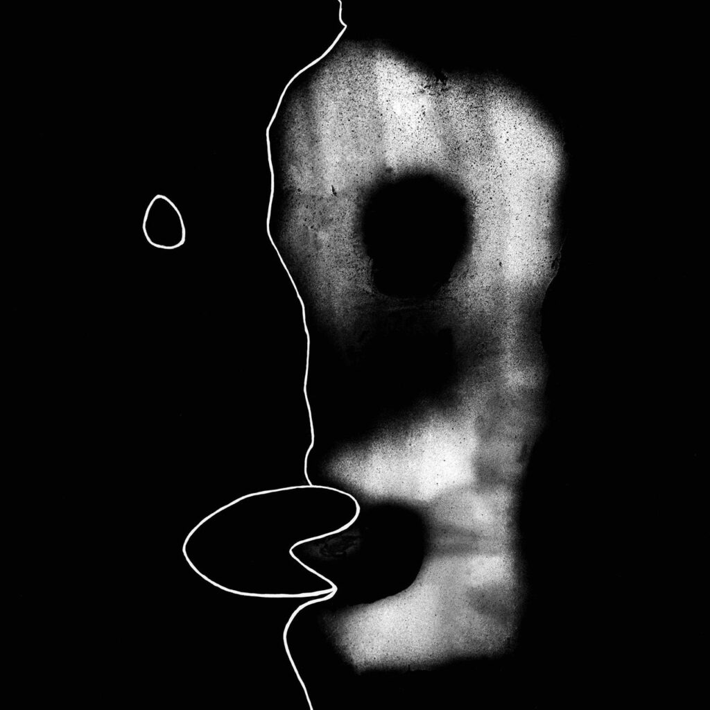 immagine per Divided self