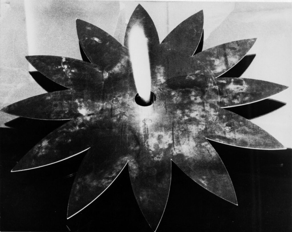 immagine per Jannis Kounellis