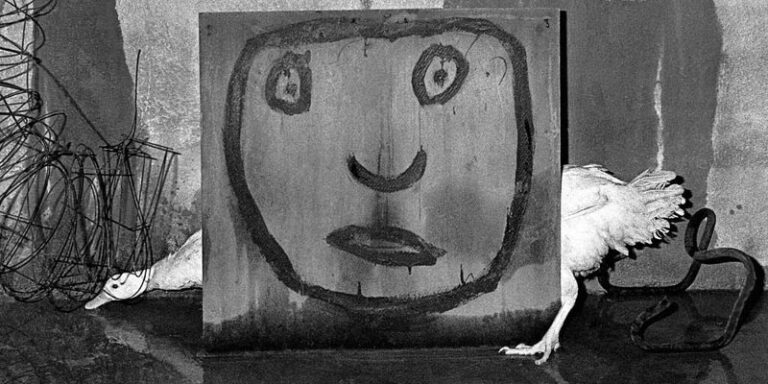 immagine per Senigallia fotografia Roger Ballen