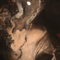 immagine per Le Ossa delle Madre di Nicola Samorì a Villa d’Este. Andando indietro, incontro all’informe
