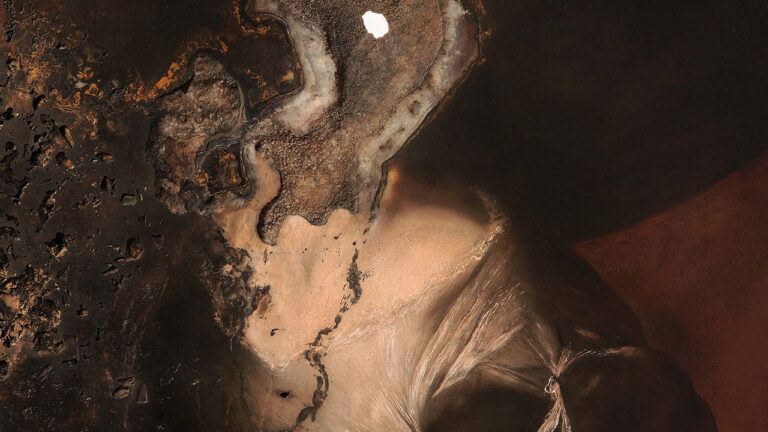 immagine per Le Ossa delle Madre di Nicola Samorì a Villa d’Este. Andando indietro, incontro all’informe