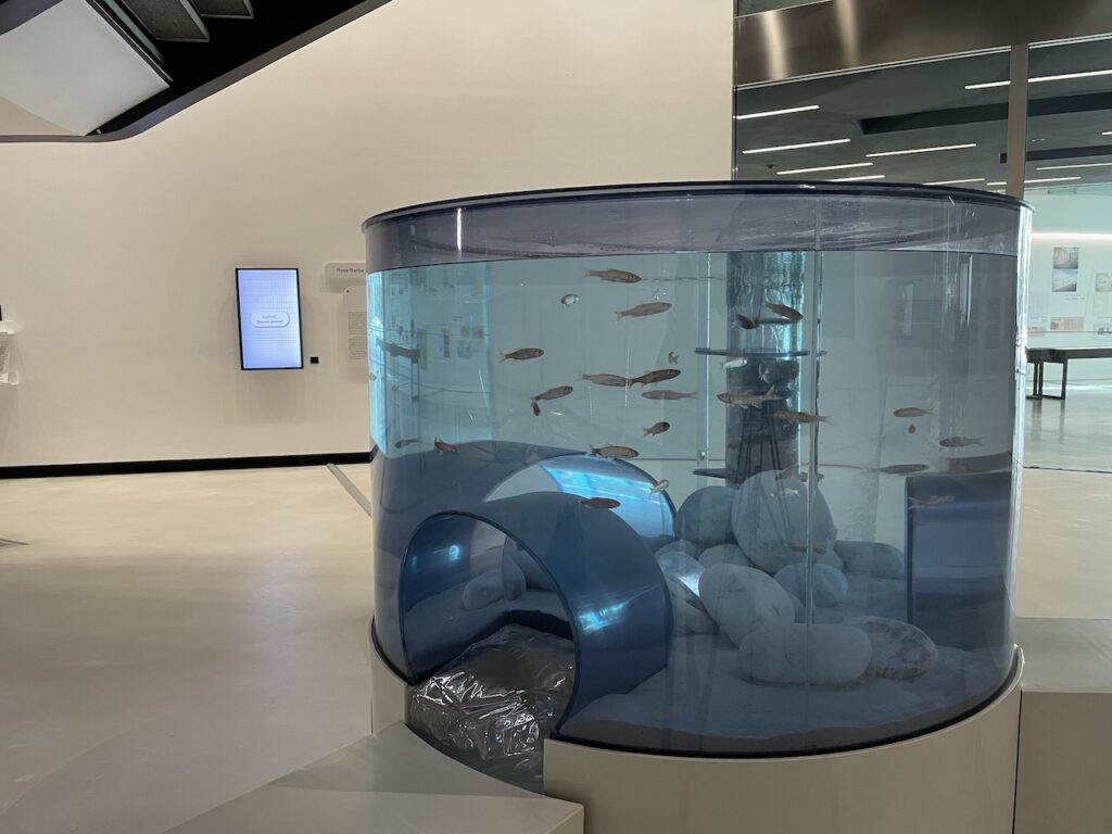 immagine per Roma sottemporanea, una mappa di avanguardie capitali.