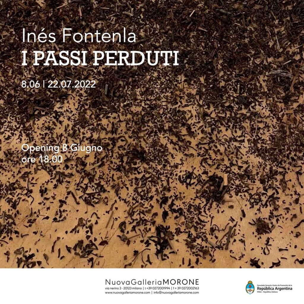 immagine per Fontenla I passi perduti