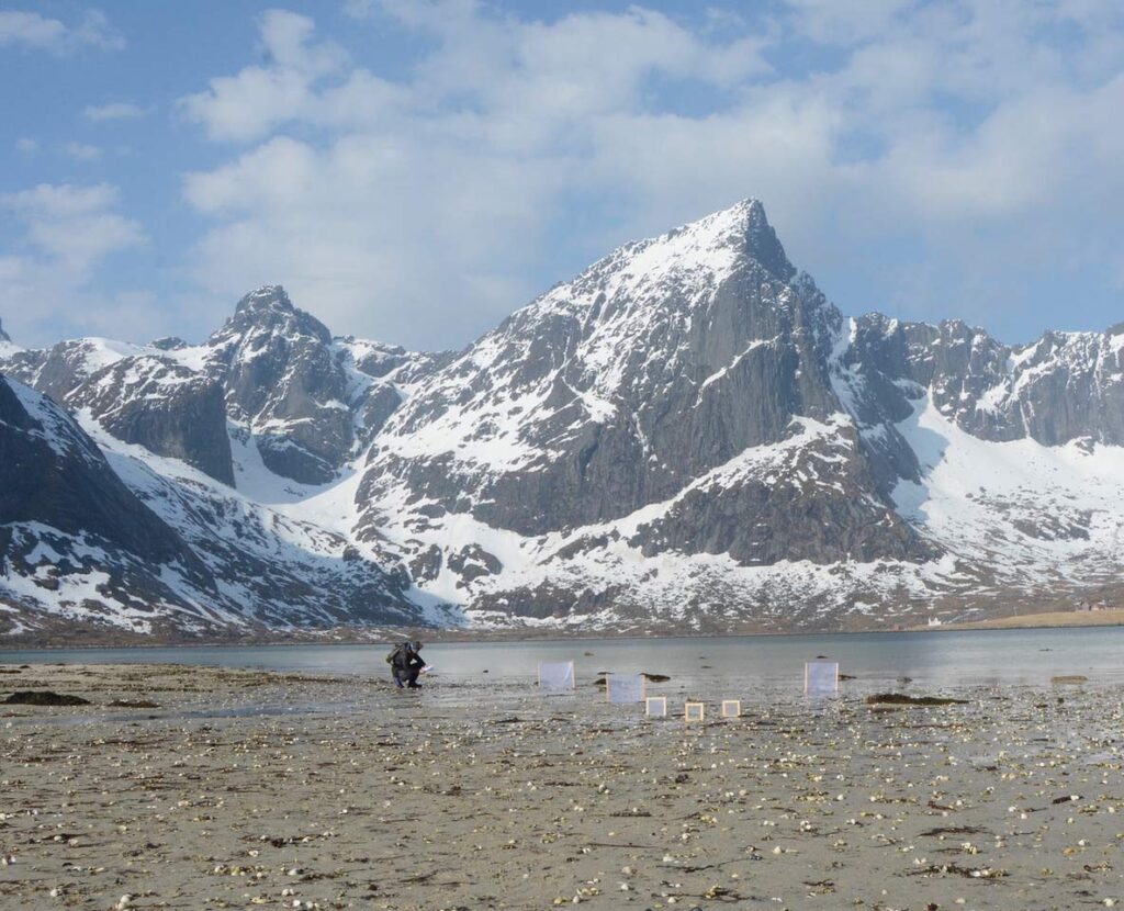 immagine per Ghezzi The Greenland Project