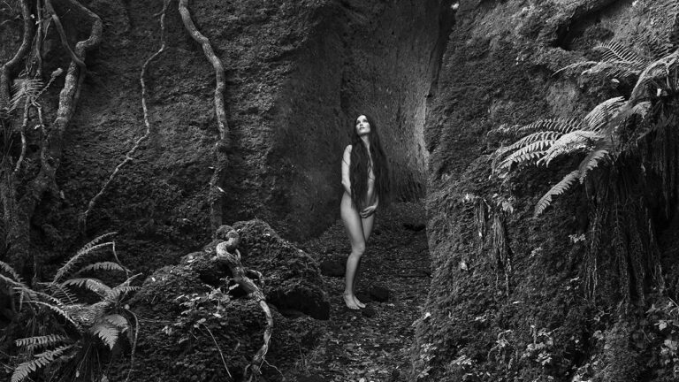 immagine per Matteo Basilé Hybrida. Arte, fotografia, tecnologia, uniti in un Nascimento Digitale