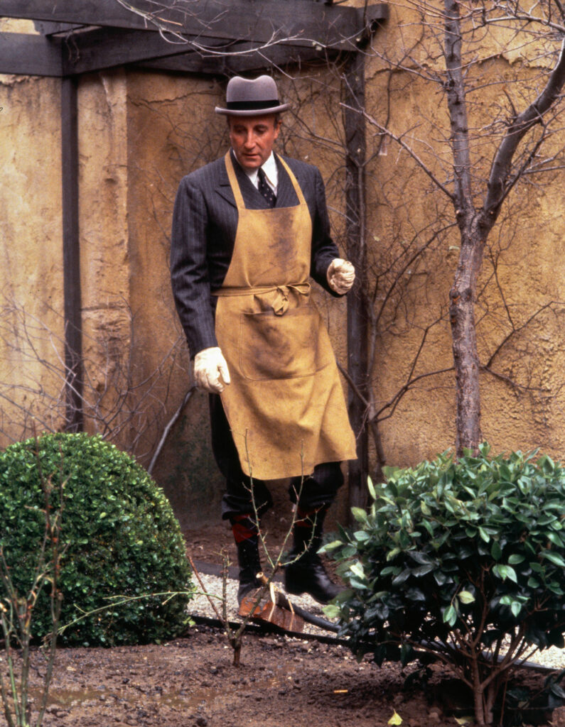 immagine per Oltre il giardino (Being there), 1979 - Peter Sellers. Regia: Hal Ashby - Soggetto: Jerzy Kosinski.