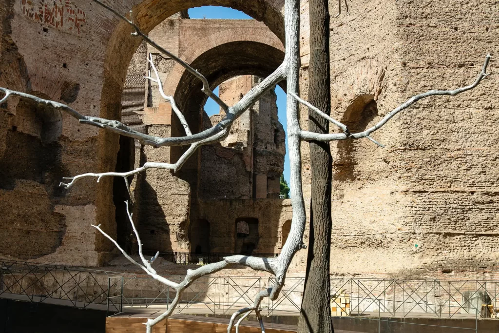 immagine per Idee di pietra, Giuseppe Penone a Caracalla
