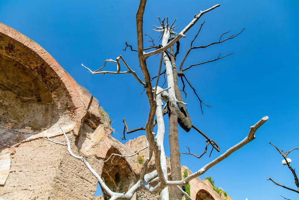 immagine per Idee di pietra, Giuseppe Penone a Caracalla