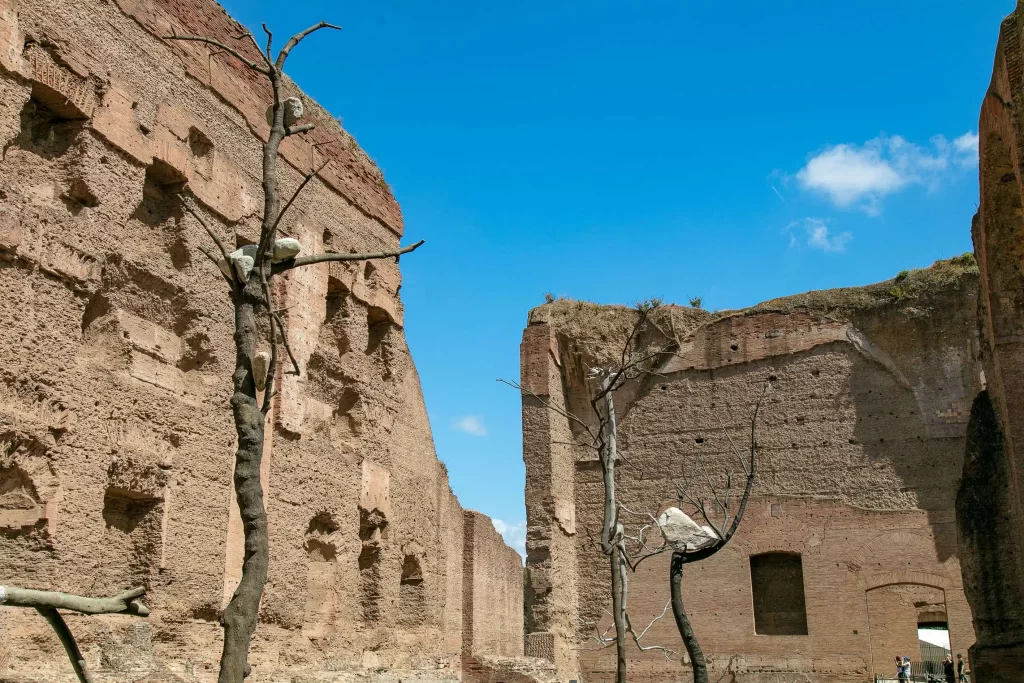 immagine per Idee di pietra, Giuseppe Penone a Caracalla