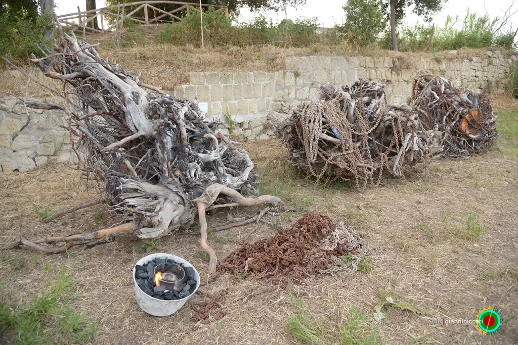 immagine per Nat’Arte. Natura, Archeologia e Arte Contemporanea al Parco Monumentale dei Campi Flegrei