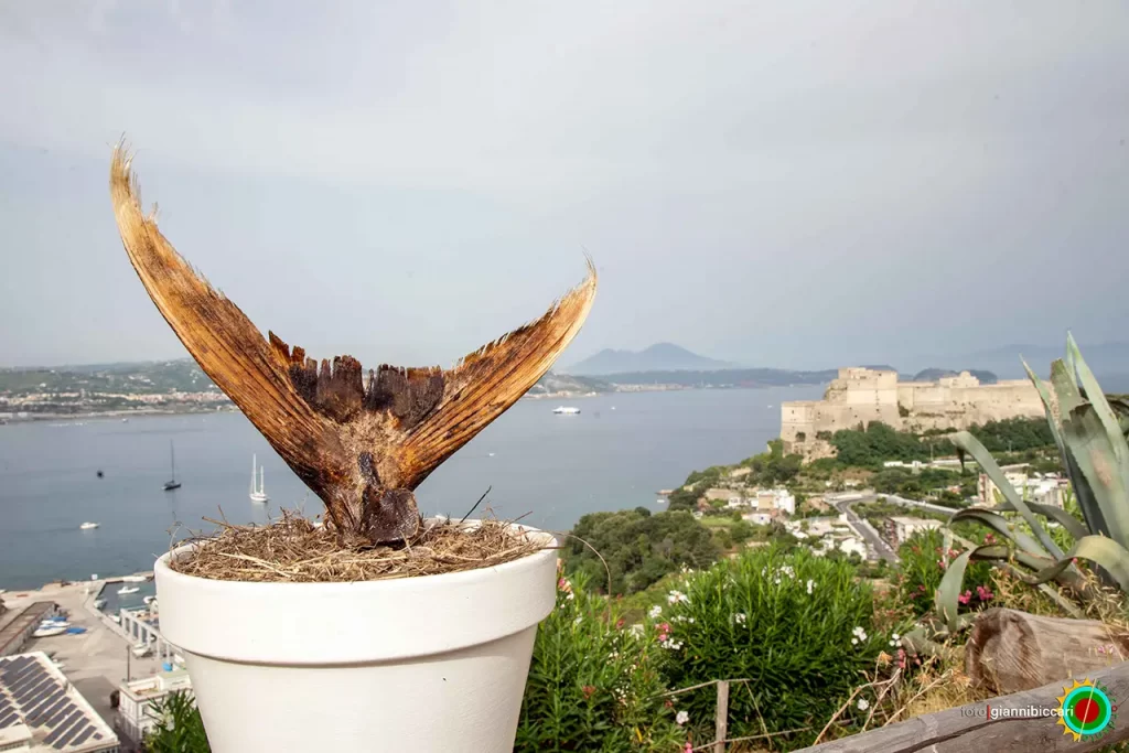 immagine per Nat’Arte. Natura, Archeologia e Arte Contemporanea al Parco Monumentale dei Campi Flegrei