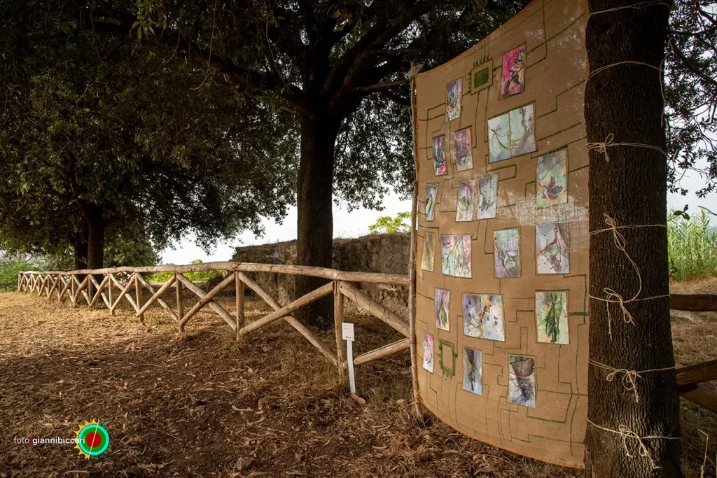 immagine per Nat’Arte. Natura, Archeologia e Arte Contemporanea al Parco Monumentale dei Campi Flegrei