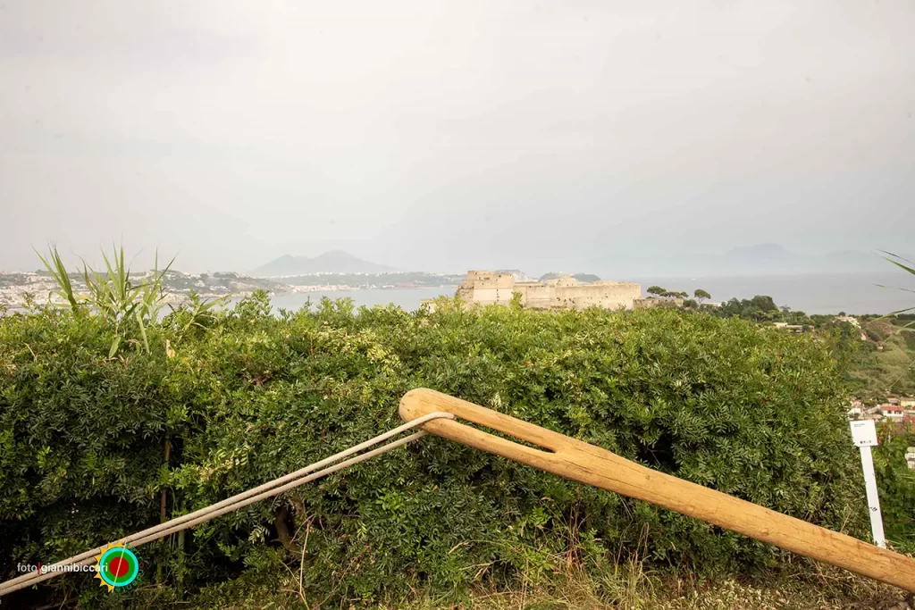 immagine per Nat’Arte. Natura, Archeologia e Arte Contemporanea al Parco Monumentale dei Campi Flegrei