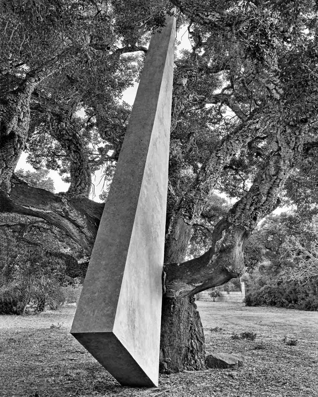 immagine per CONTEMPORANEA Sculptures and Places