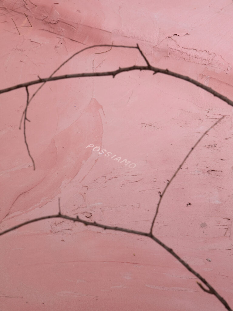 immagine per I borsisti di Villa Medici fanno scintille. Étincelles all'Académie de France