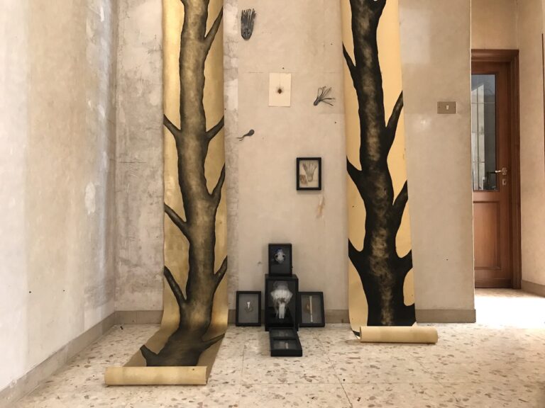 immagine pr Il bosco sacro di Paola Zampa libera dalla drammaticità della condizione umana.