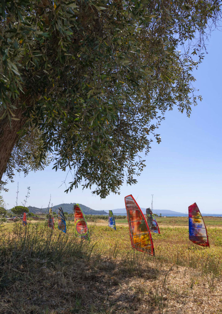 immagine per Hypermaremma IV - Gianni Politi: Le fatiche di A.C.