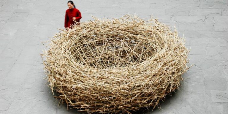 immagine per Il gioco della natura