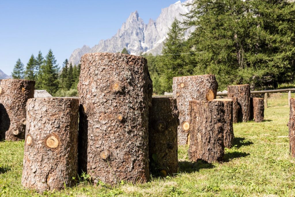 immagine per Terzo Paradiso di tronchi a Courmayeur. Pistoletto e la Land Art ecologica e pacifista