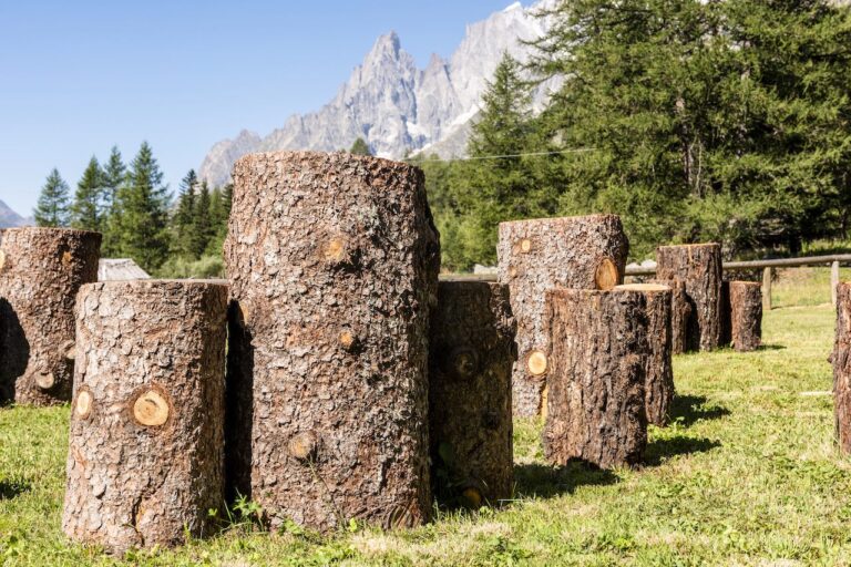 immagine per Terzo Paradiso di tronchi a Courmayeur. Pistoletto e la Land Art ecologica e pacifista