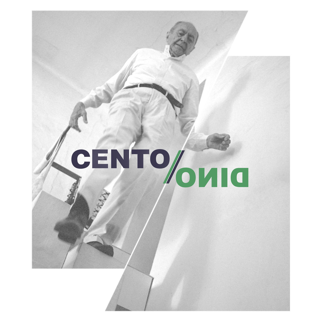 immagine per Cento % Dino Gavina