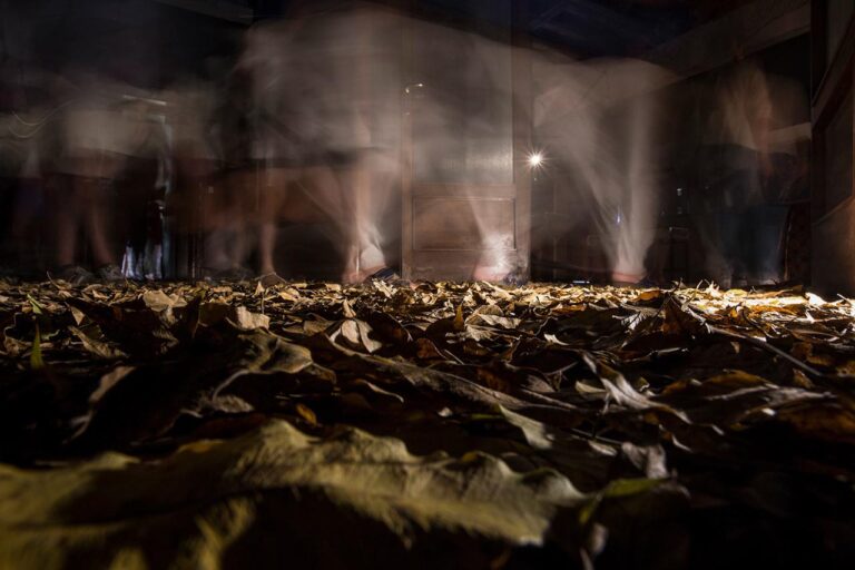 immagine per Domenico Mennillo-Particolare dell' installazione La Casa della Fortuna - Sevrés 2022