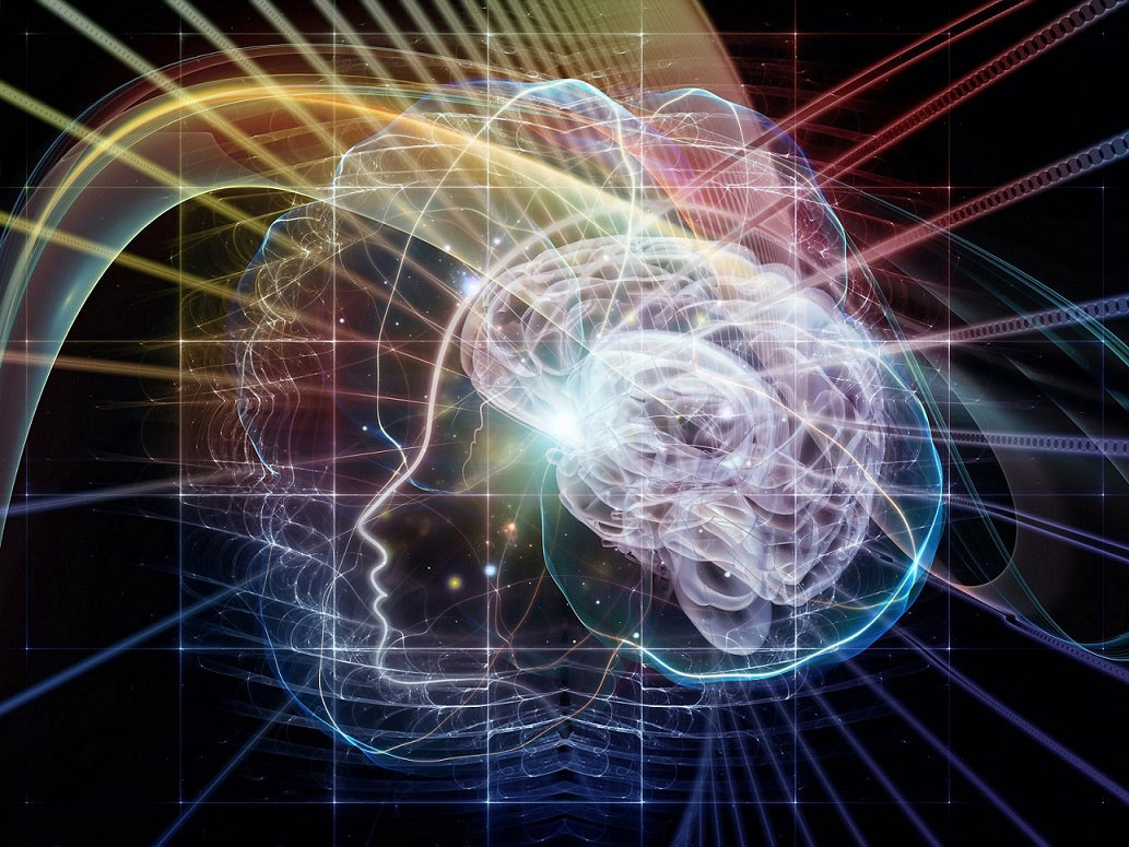 immagine per La Mente Meditante