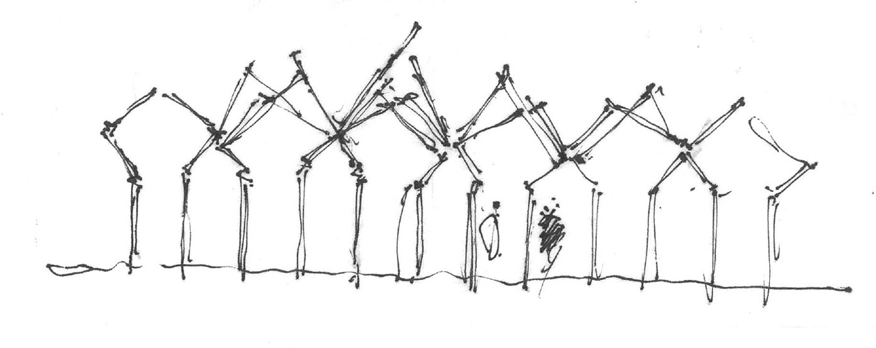 immagine per Rocco Yim, Rinascita della Foresta Danzante / Re-Birth of a Dancing Forest, schizzo