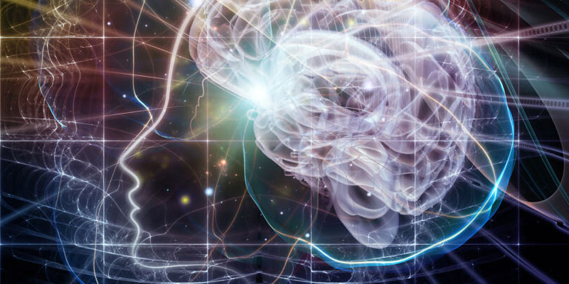immagine per La Mente Meditante