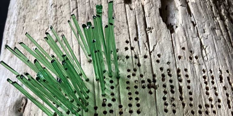 immagine per Penzo+Fiore OSMOSI