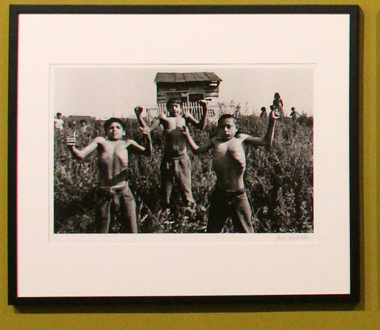 immagine per Josef Koudelka, Zehra, Czechoslovakia 1967 ©Josef Koudelka Courtesy Magnum Photos -ph. Anna Jo