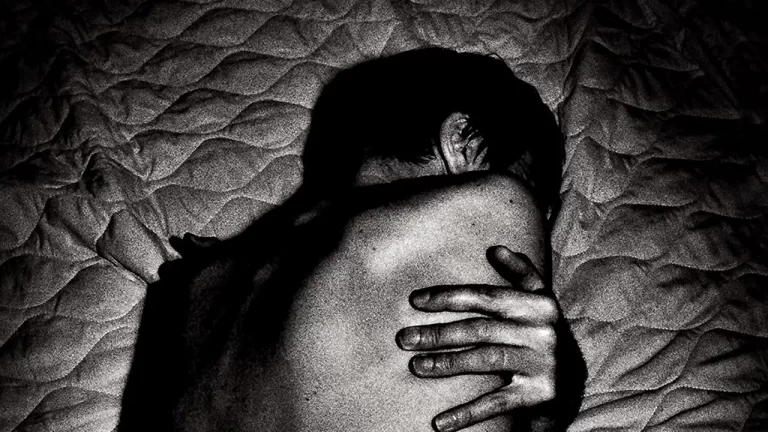 immagine per Suede, “Autofiction” (BMG, 2022)