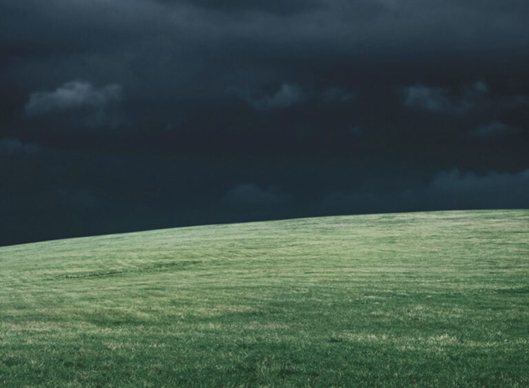 immagine per IndipendenteMente #100. Homo prospectus. Verso una nuova antropologia. Un saggio sulla scienza della prospezione