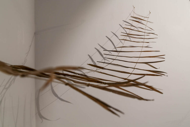 immagine per Alessia Lastella alla Fondazione Museo Pino Pascali