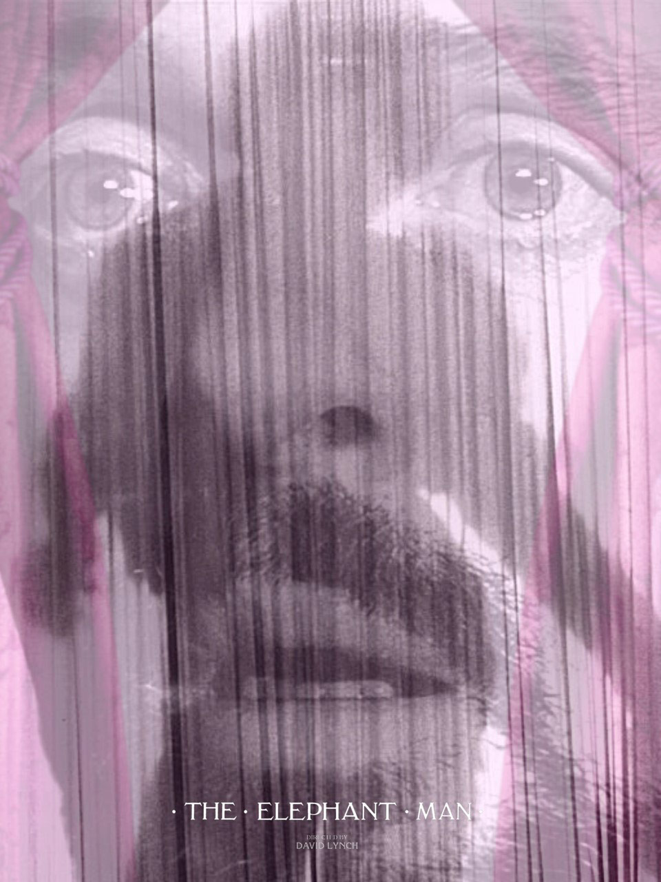 immagine per Collettiva The Elephant Man