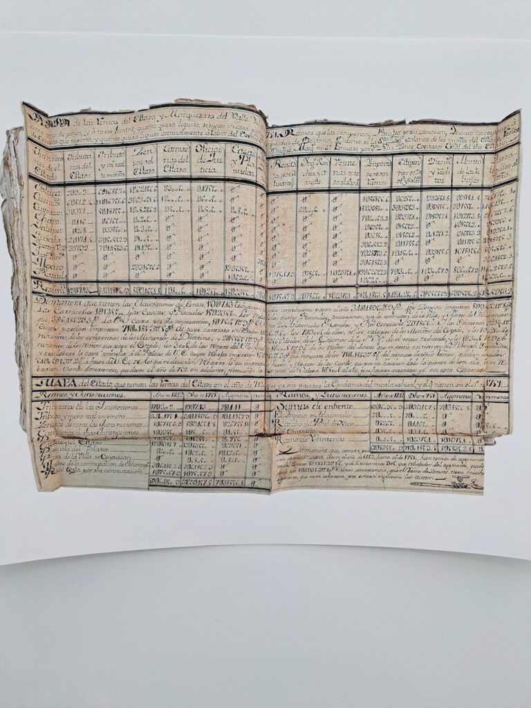 immagine per Maria Thereza Alves - An Accounting, ph. Enza Monetti