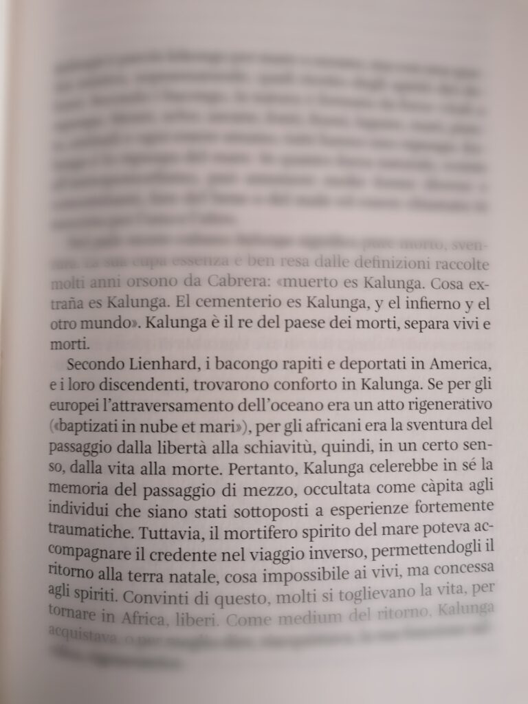 immagine per Cristiano Berti, Eredi Boggiano