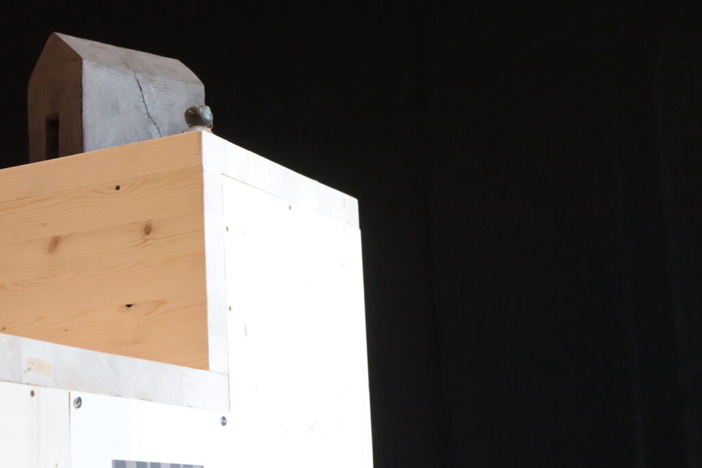 immagine per Prospicio, l’installazione site-specific della scultrice pugliese Marina Quaranta. TRAleVOLTE