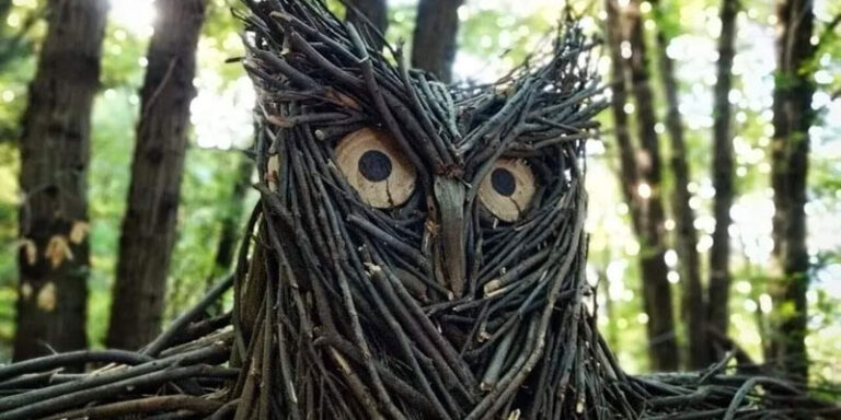 immagine per Call L’Uomo è Natura