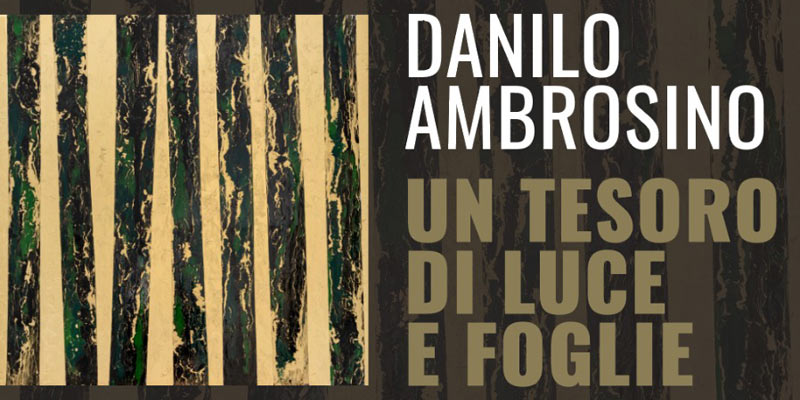 immagine per Danilo Ambrosino