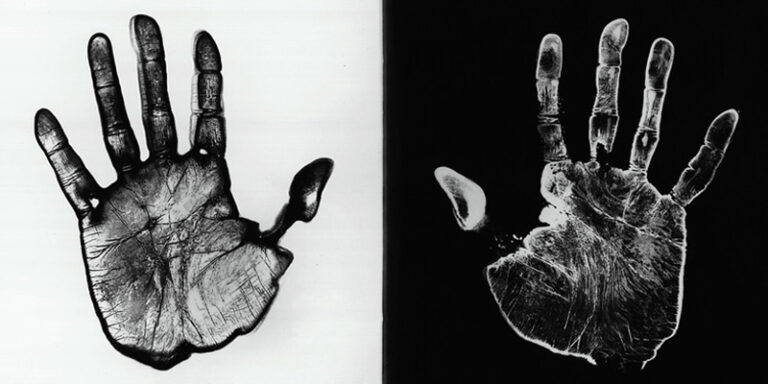 immagine per Stanze della Fotografia Mulas