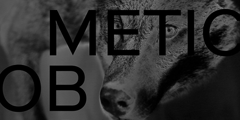 immagine per The Mimetic Observer