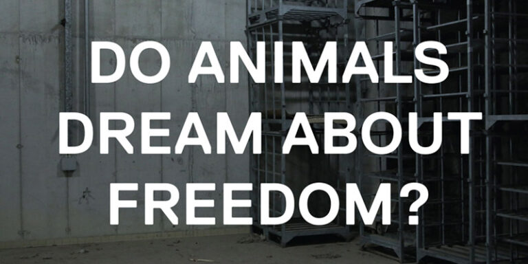 immagine per The World to Come