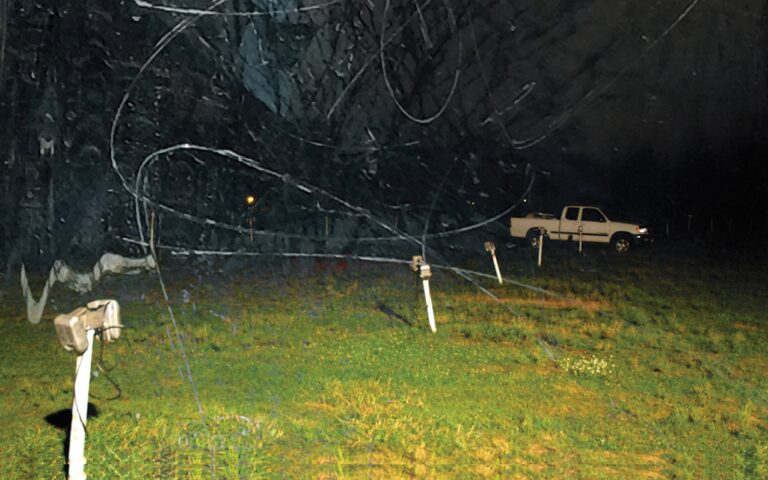 immagine per [Kalporz] Yo La Tengo, “This Stupid World” (Matador, 2023)