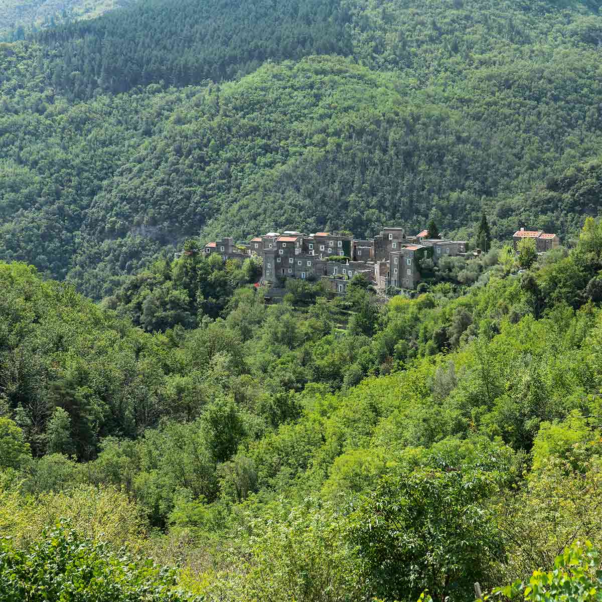 immagine per Abitare la Vacanza