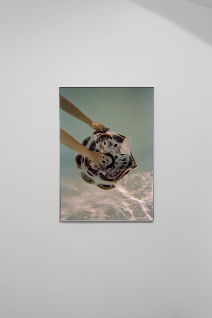 immagine per Installation views Rachele Maistrello: Gao Yue 高跃, 6 aprile - 28 giugno, 2023, Galleria Eugenia Delfini, Roma. Foto di Carlo Romano. Courtesy Galleria Eugenia Delfini.