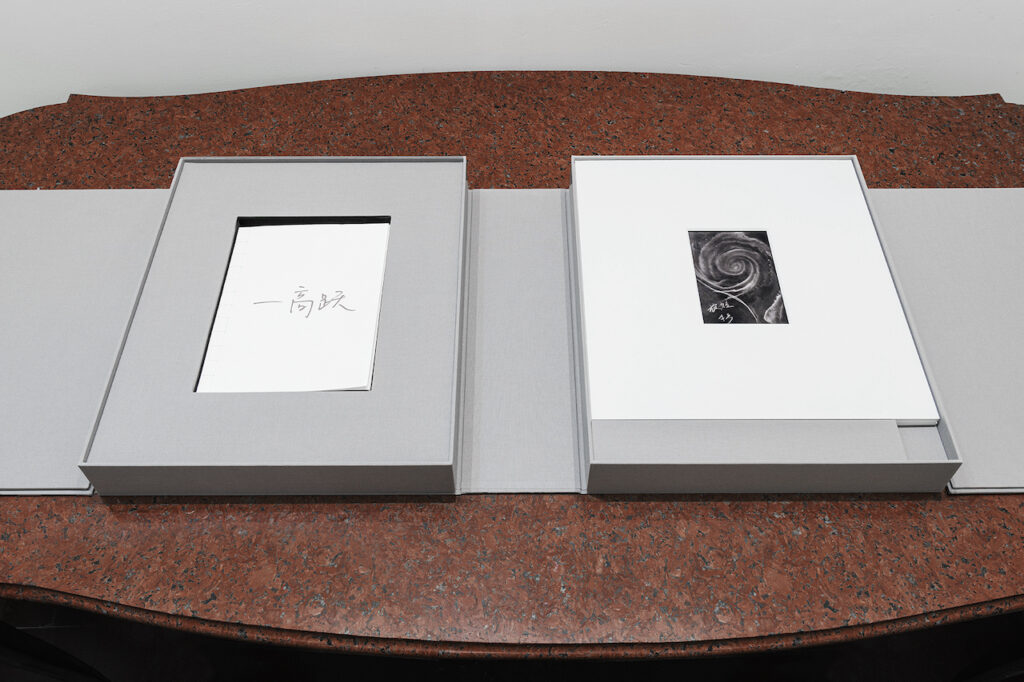 immagine per Installation views Rachele Maistrello: Gao Yue 高跃, 6 aprile - 28 giugno, 2023, Galleria Eugenia Delfini, Roma. Foto di Carlo Romano. Courtesy Galleria Eugenia Delfini.