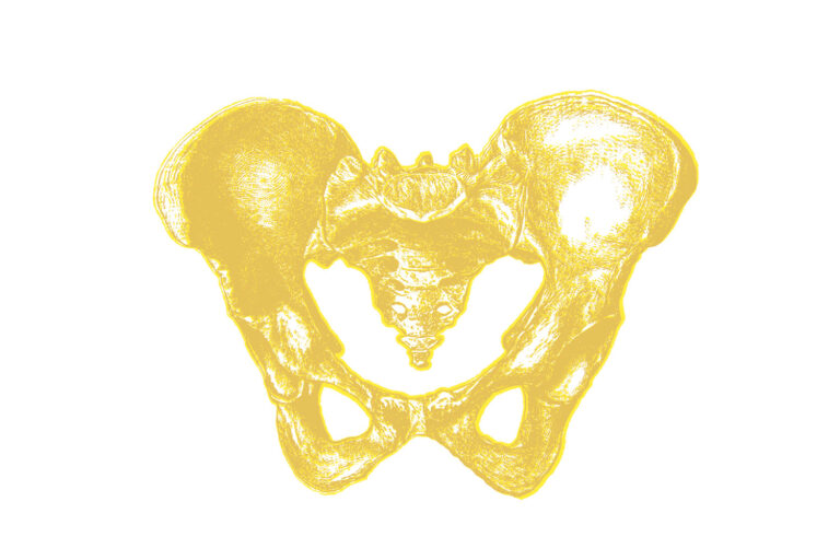 immagine per L'oro è giallo. Benedetta Fallucchi racconta l'arte del fare pipì