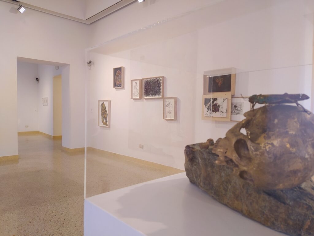 immagine per IOAMOTE, Teramo L’Arca - Laboratorio per le arti-contemporanee. Installation View